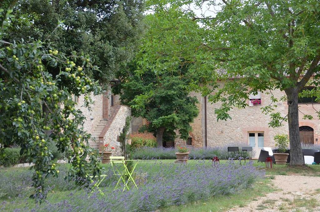 Agriturismo La Segolina Colle Val D'Elsa Kültér fotó