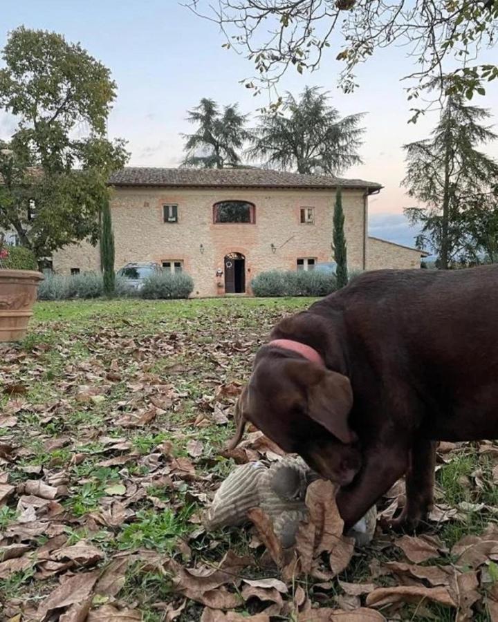 Agriturismo La Segolina Colle Val D'Elsa Kültér fotó