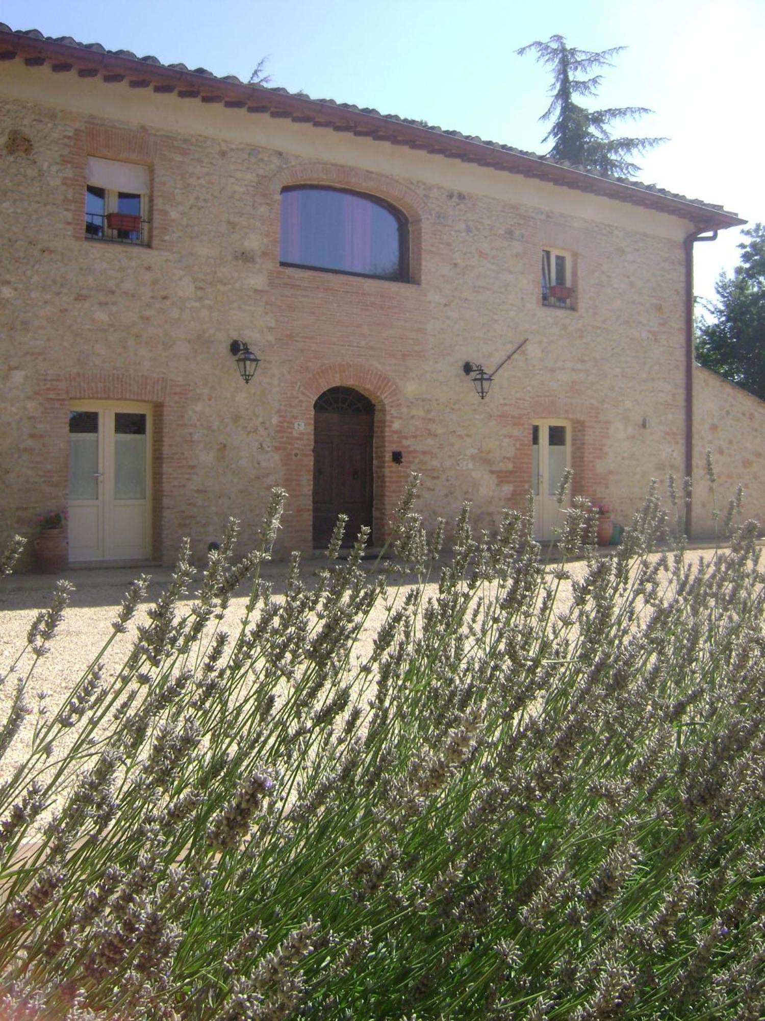 Agriturismo La Segolina Colle Val D'Elsa Kültér fotó