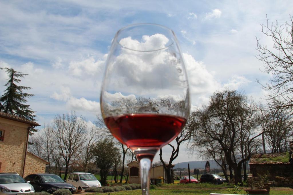 Agriturismo La Segolina Colle Val D'Elsa Kültér fotó