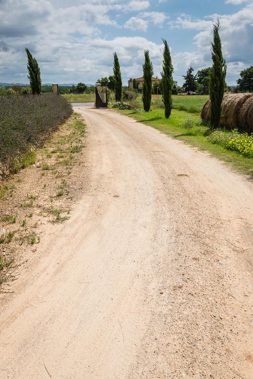 Agriturismo La Segolina Colle Val D'Elsa Kültér fotó